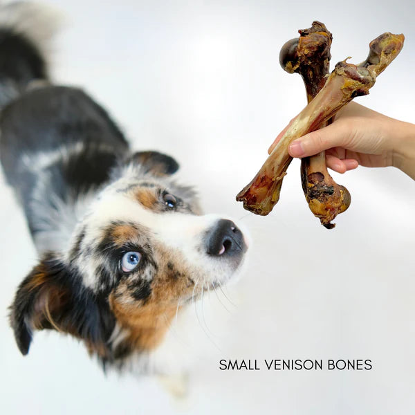 Medium Venison Bone